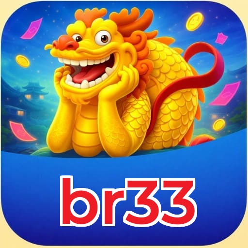 br33